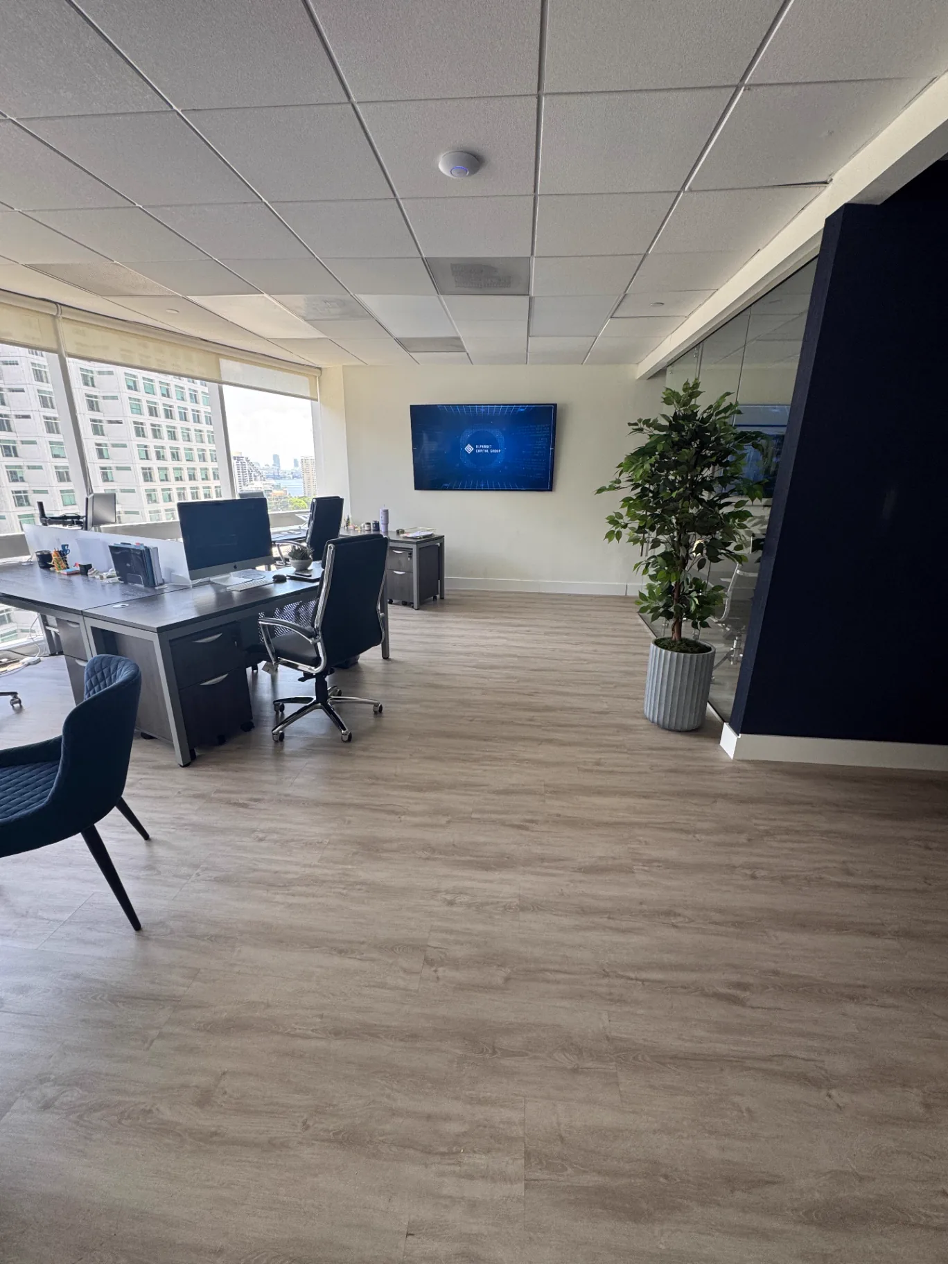 Commercial office in Miami with continuous warm-gray wood-look flooring across an open workstation area — installed by Colors Wood Floor Corp.