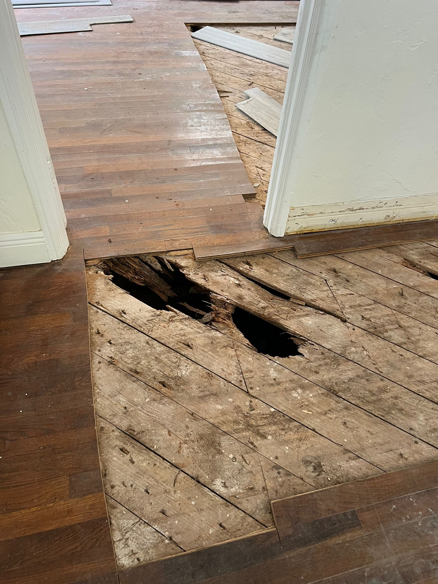 Close-up of subfloor damage from past termite activity discovered under the original hardwood flooring, Miami Beach